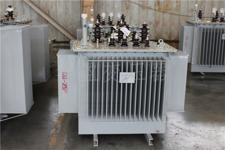 保定S20-800kVA/10kV/0.4kV变压器
